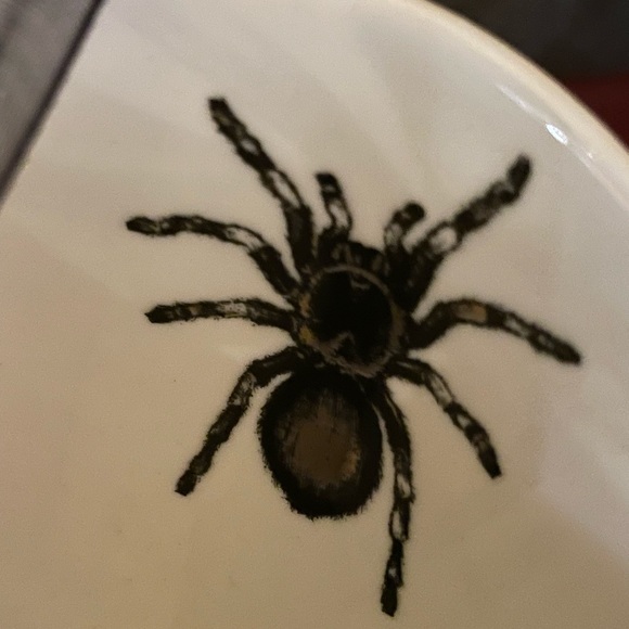 PARK CHATEAU NEW Spider Teacup & Saucer Set Black Iridescent & White W/Gold Trim - Picture 6 of 11